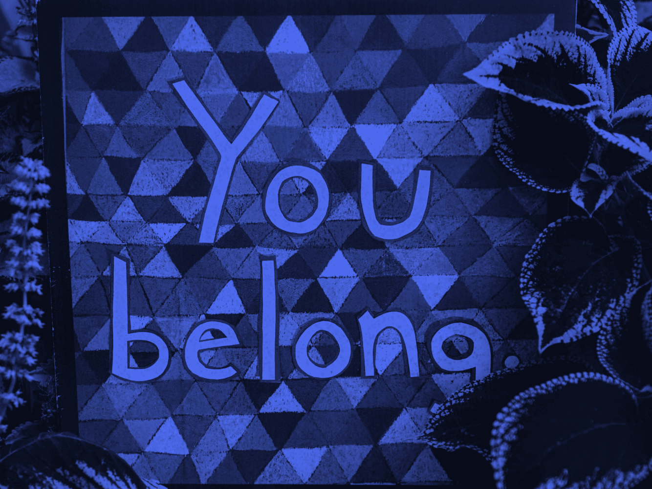 A imagem apresenta um quadro com um filtro azul e a frase "You Belong" escrita ao centro. A tradução para o português é "Você pertence".